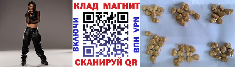 ГАШ Тосно