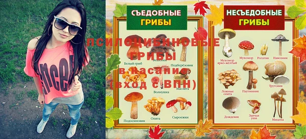 стафф Козловка