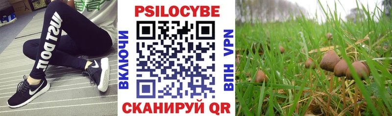 Псилоцибиновые грибы Magic Shrooms  Тосно 